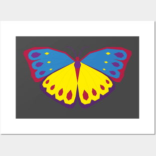 COLORFUL BUTTERFLY Posters and Art